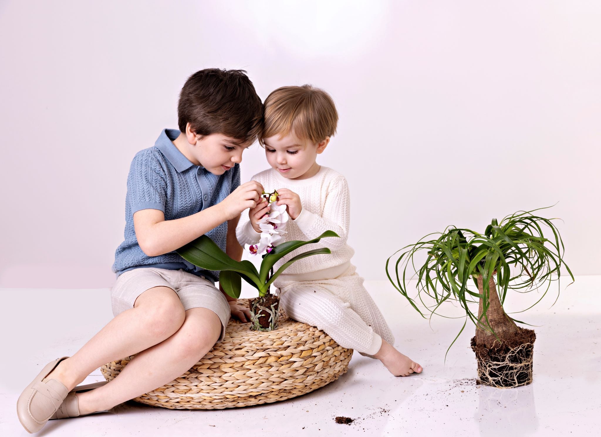 Linen Shorts – Pixie Label