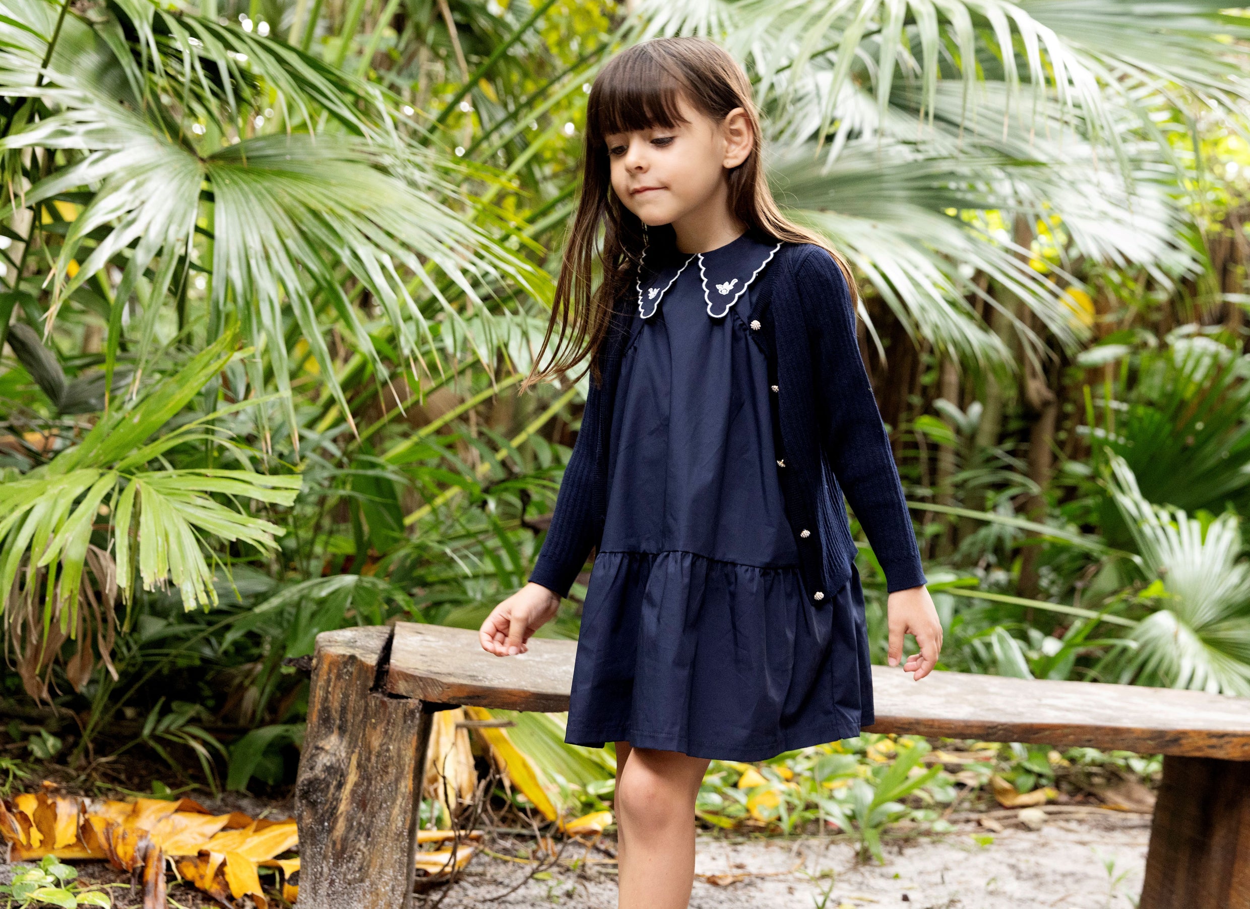 Embroidered Collar s/s Dress