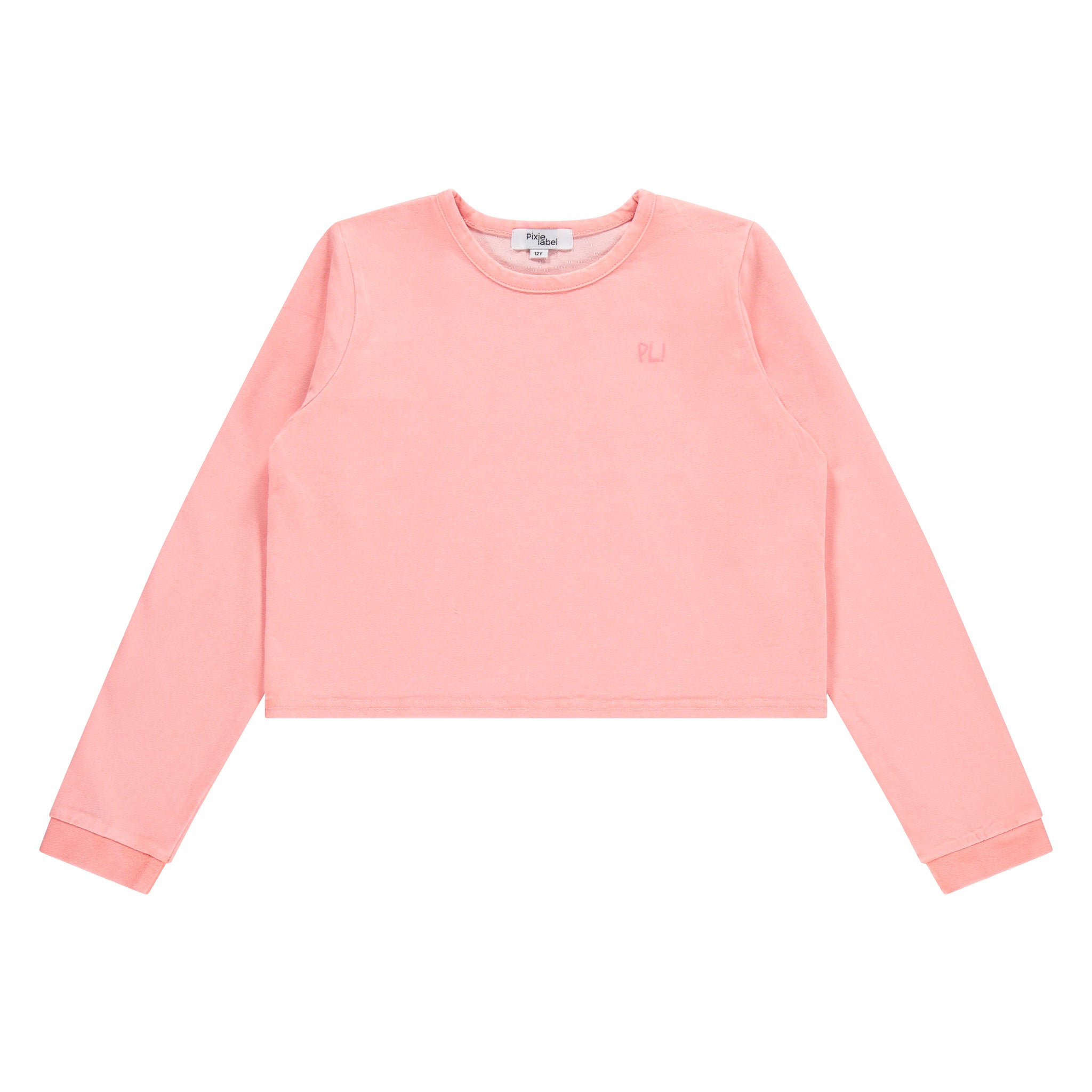 Mineral Wash Crop Top